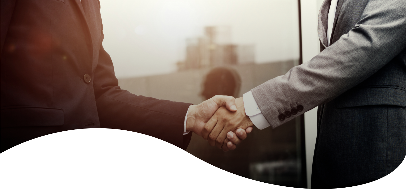 MC Organization Banner